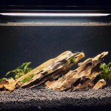Natural Dragon Stone (Ohko) for aquascaping and aquarium decor