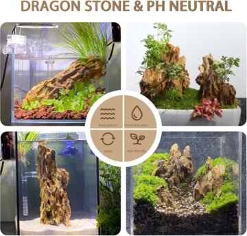 Natural Dragon Stone (Ohko) for aquascaping and aquarium decor