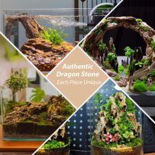 Natural Aquarium Aquascaping Stone (3lb, 2-5 Inch)