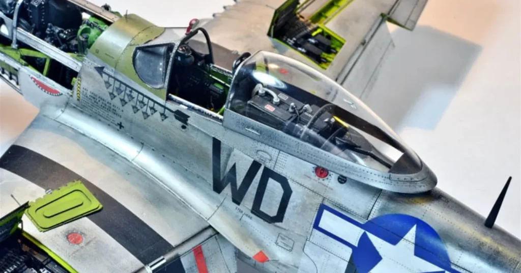 The Customization Potential