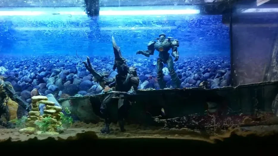 pacific rim aquarium diorama 2026 final setup viral