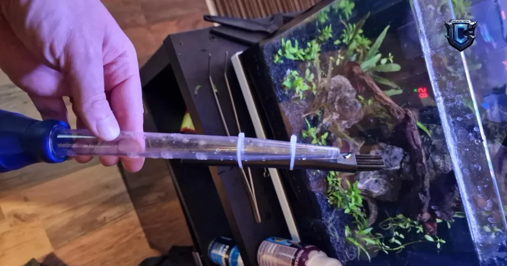 pacific rim aquarium diorama 2026 maintenance cleaning